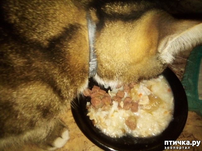 ���� 6: ��������! �����������!