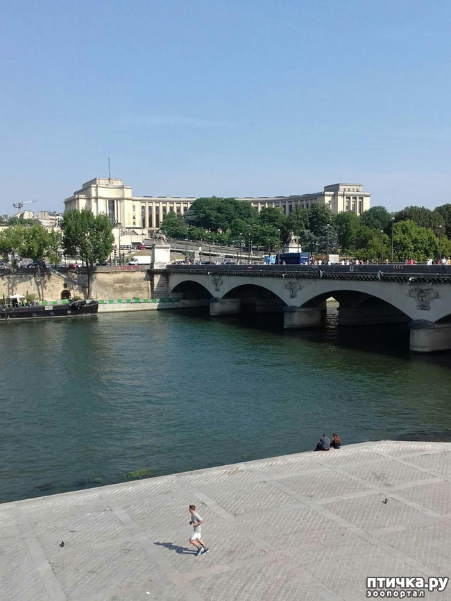 ���� 2: ������� �������