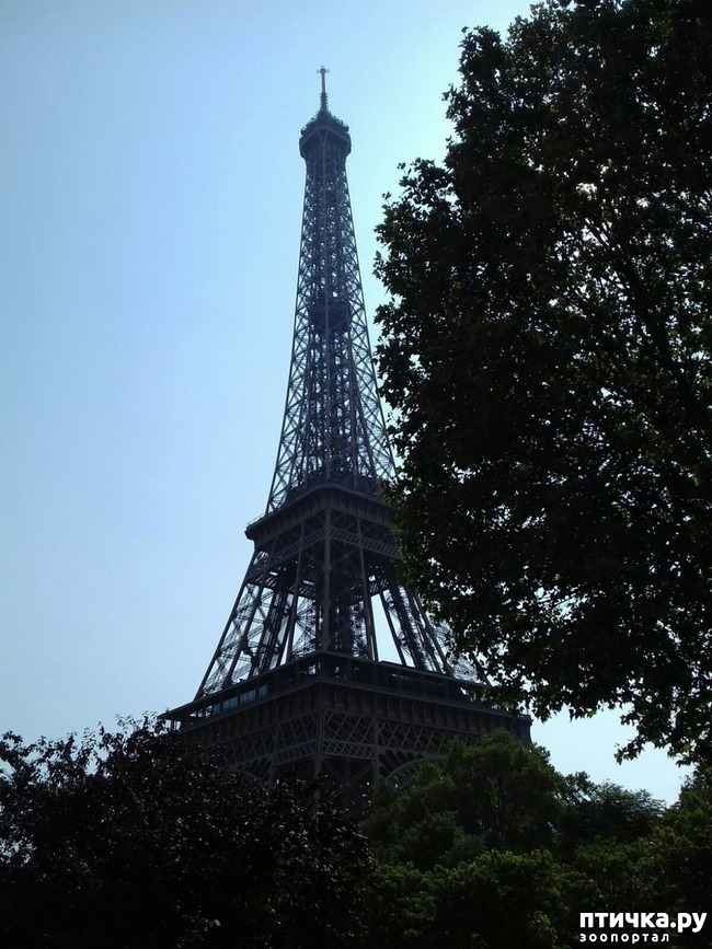 ���� 3: ������� �������