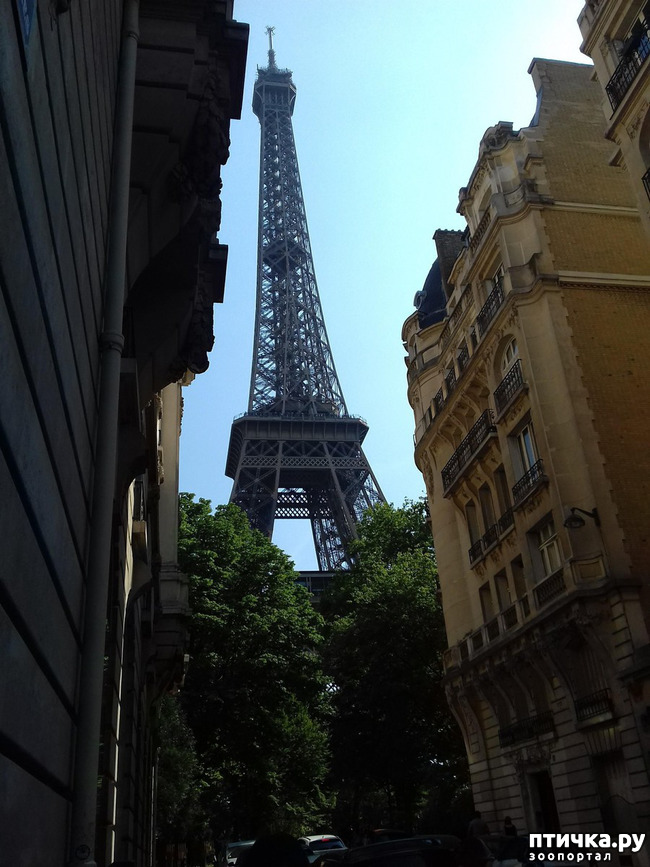 ���� 4: ������� �������