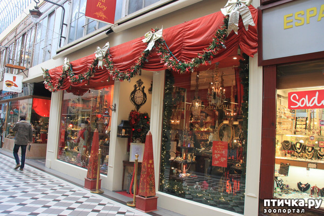 ���� 5: ������� �������