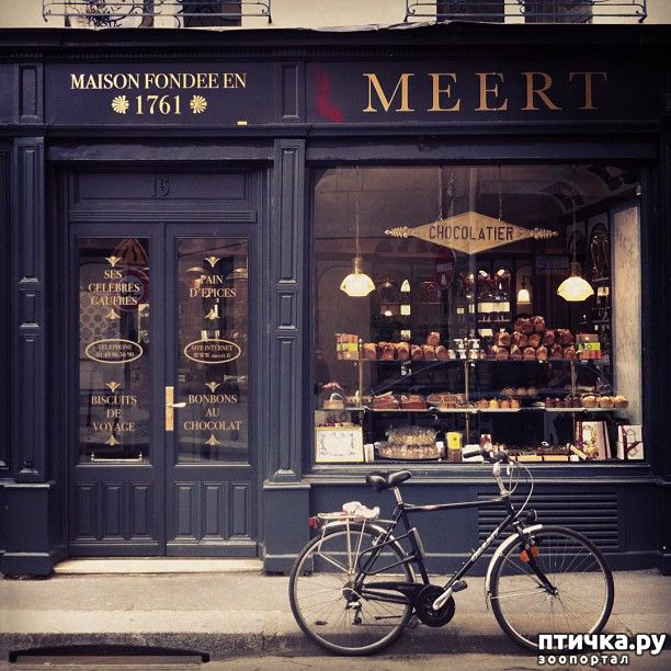 ���� 6: ������� �������