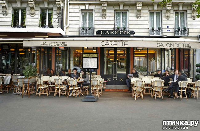 ���� 7: ������� �������