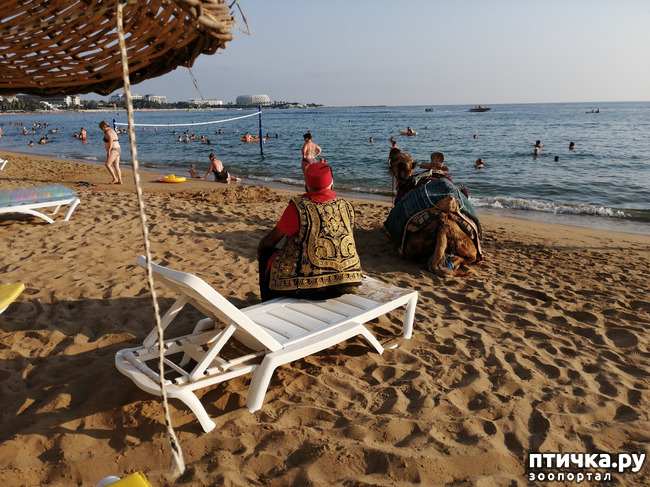 ���� 14: ��, ����, ����... ��� ������ �� ������.