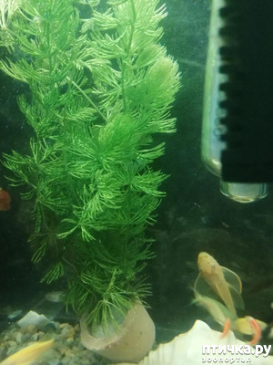 ����: � �� ����� � ����� ��������� �����.))