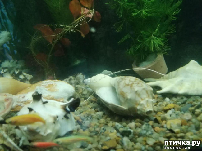 ���� 2: � �� ����� � ����� ��������� �����.))