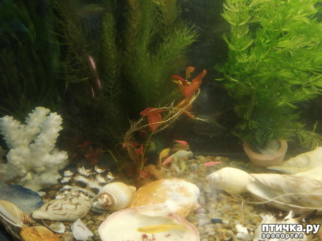 ���� 3: � �� ����� � ����� ��������� �����.))