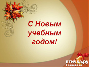 ����: � ������� ������ �������� ����!!!