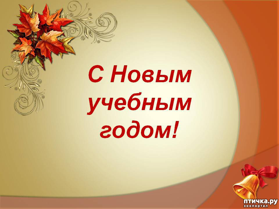 Шаблон презентации итоги учебного года
