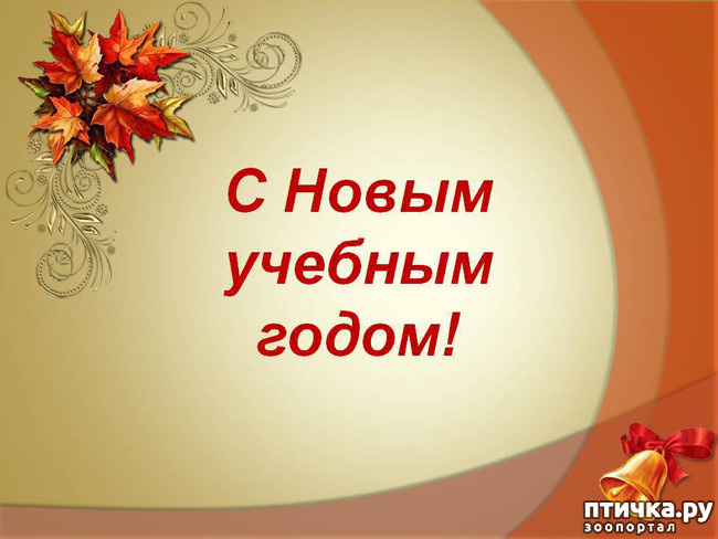 фотография 1: С началом нового учебного года!!! фото 1: С началом нового учебного года!!!
