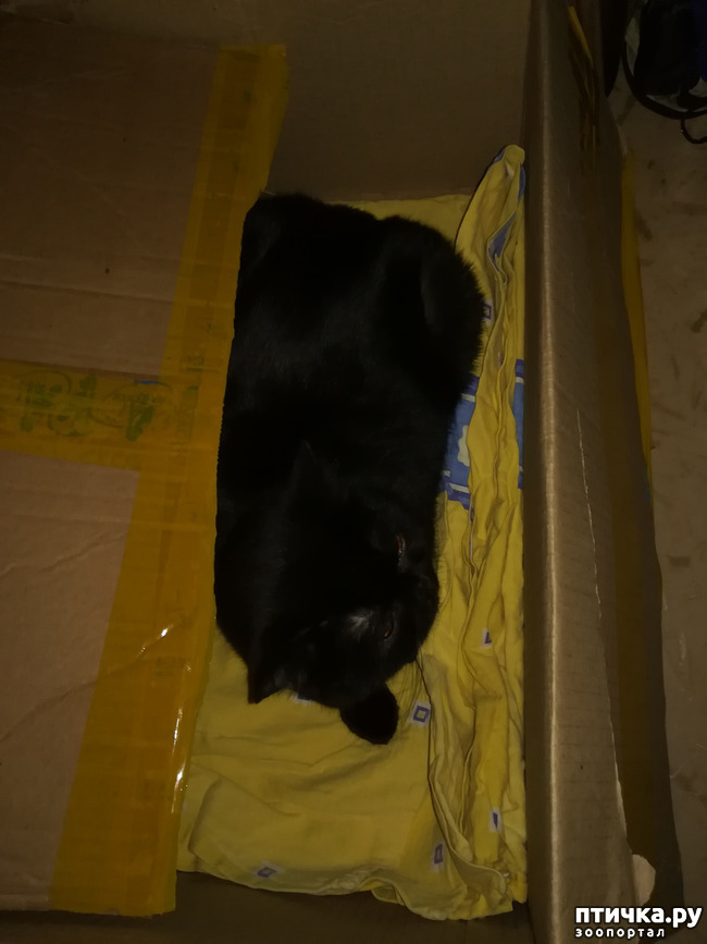 ���� 5: �������