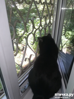 ����: �������