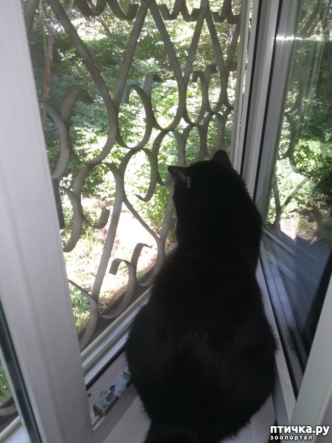 ���� 1: �������