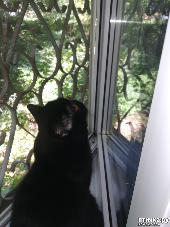 ���� 2: �������