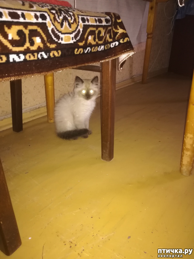 ���� 6: �������