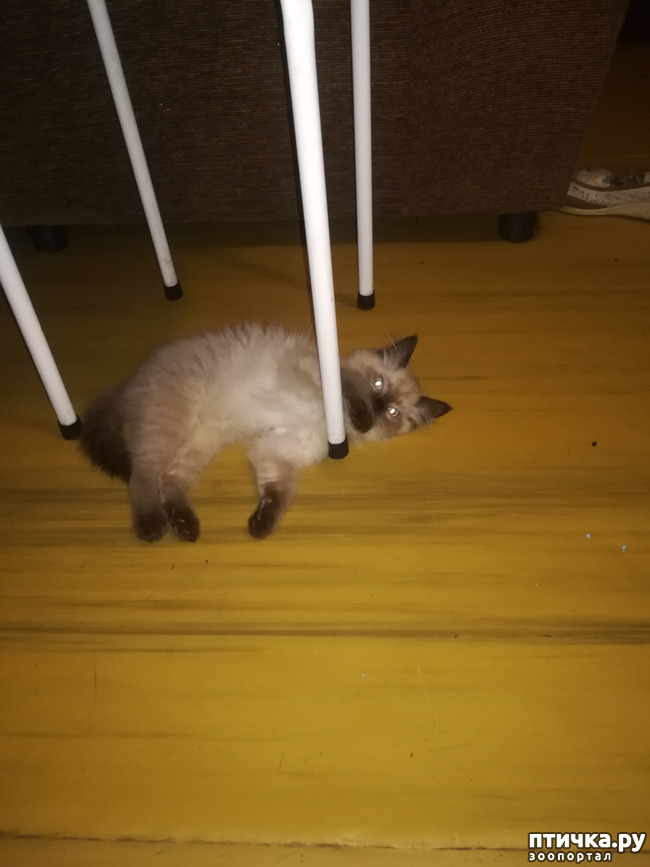 ���� 7: �������