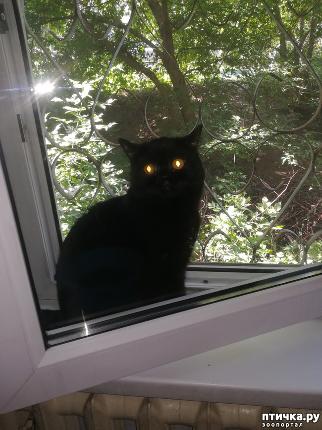 ���� 3: �������