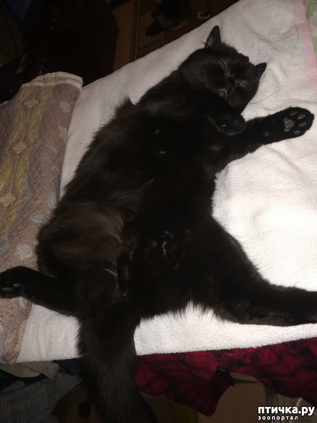 ���� 4: �������