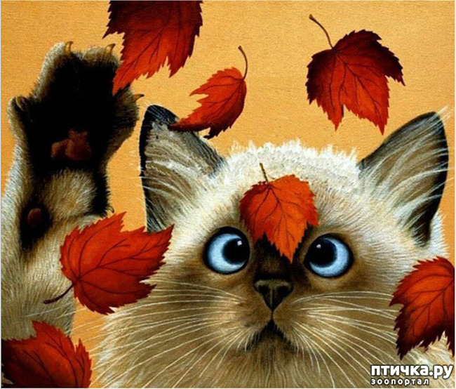 фотография 6: С началом нового учебного года!!! фото 6: С началом нового учебного года!!!