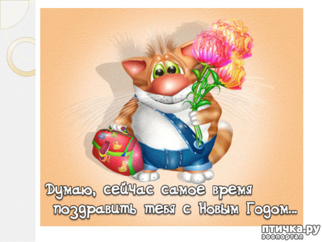 фотография 7: С началом нового учебного года!!! фото 7: С началом нового учебного года!!!