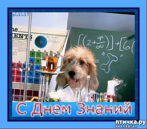 фотография 8: С началом нового учебного года!!! фото 8: С началом нового учебного года!!!