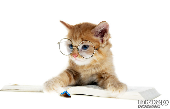 фотография 11: С началом нового учебного года!!! фото 11: С началом нового учебного года!!!