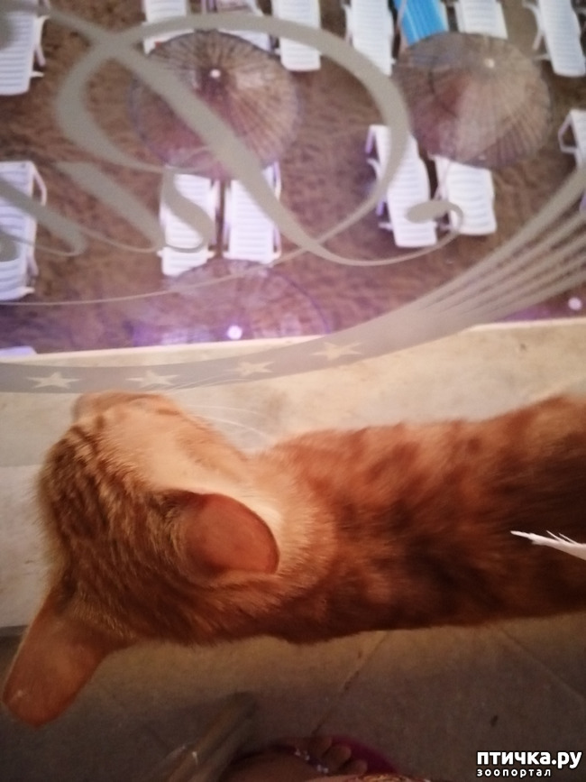 ���� 11: ��, ����, ����... ��� ������ �� ������.