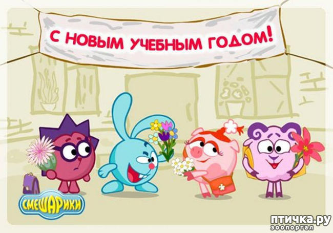 фотография 13: С началом нового учебного года!!! фото 13: С началом нового учебного года!!!