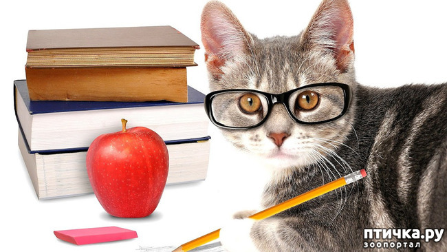 фотография 14: С началом нового учебного года!!! фото 14: С началом нового учебного года!!!