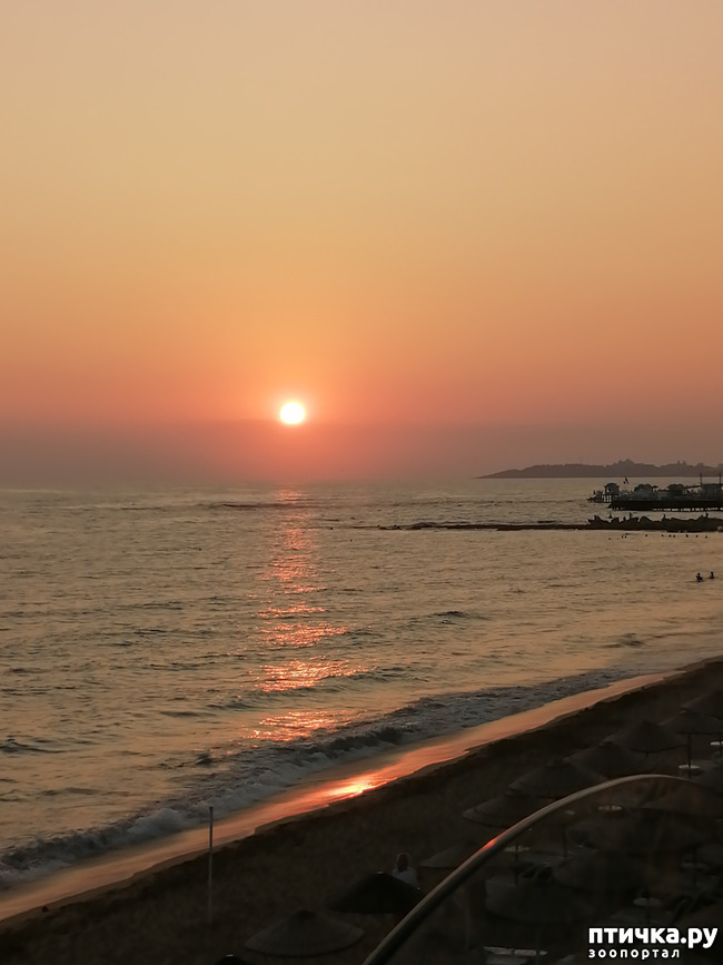 ���� 16: ��, ����, ����... ��� ������ �� ������.