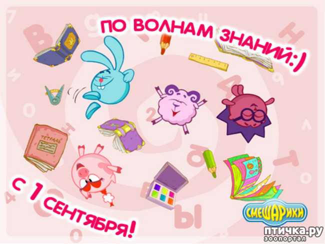 фотография 15: С началом нового учебного года!!! фото 15: С началом нового учебного года!!!