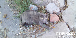 ����: ����.