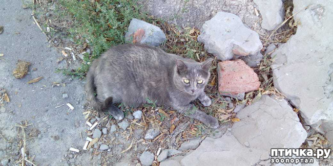 ���� 1: ����.