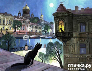 ����: ������������