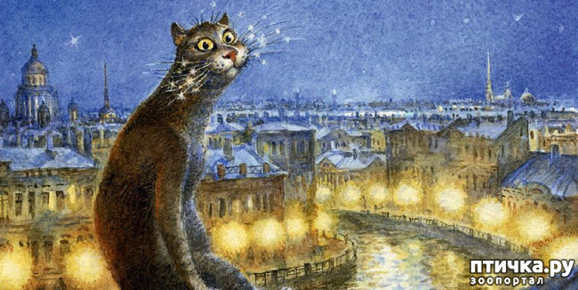 ���� 5: ������������