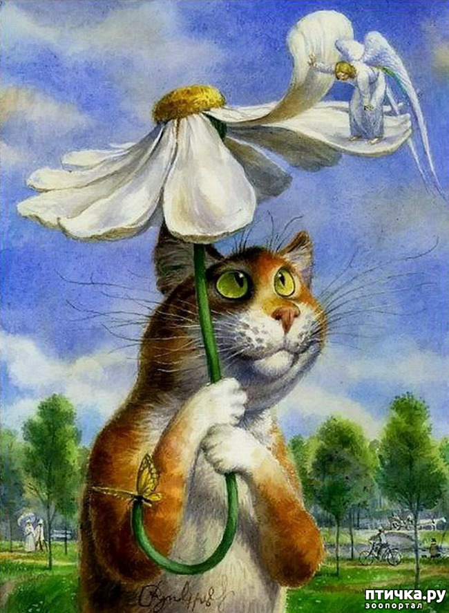 ���� 8: ������������