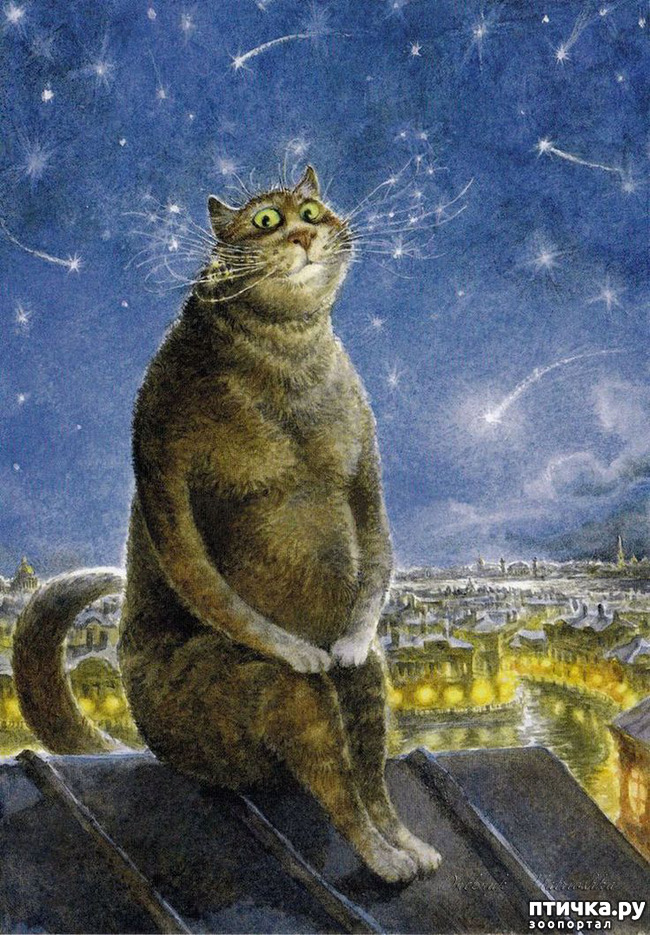 ���� 7: ������������