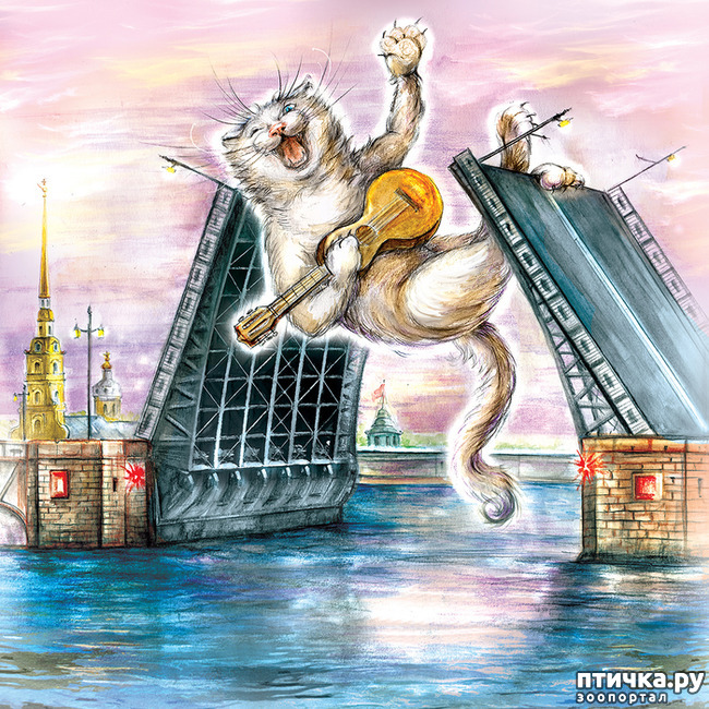 ���� 4: ������������