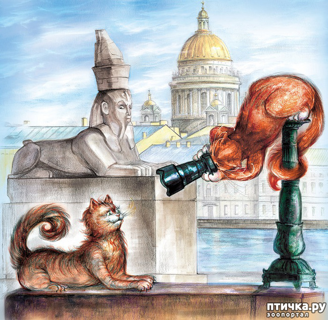 ���� 9: ������������