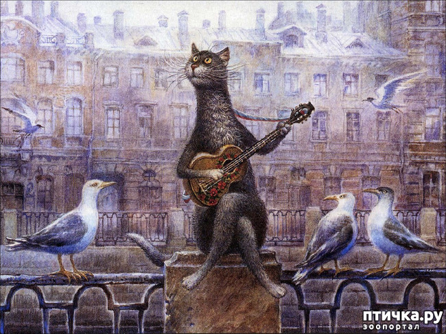 ���� 3: ������������