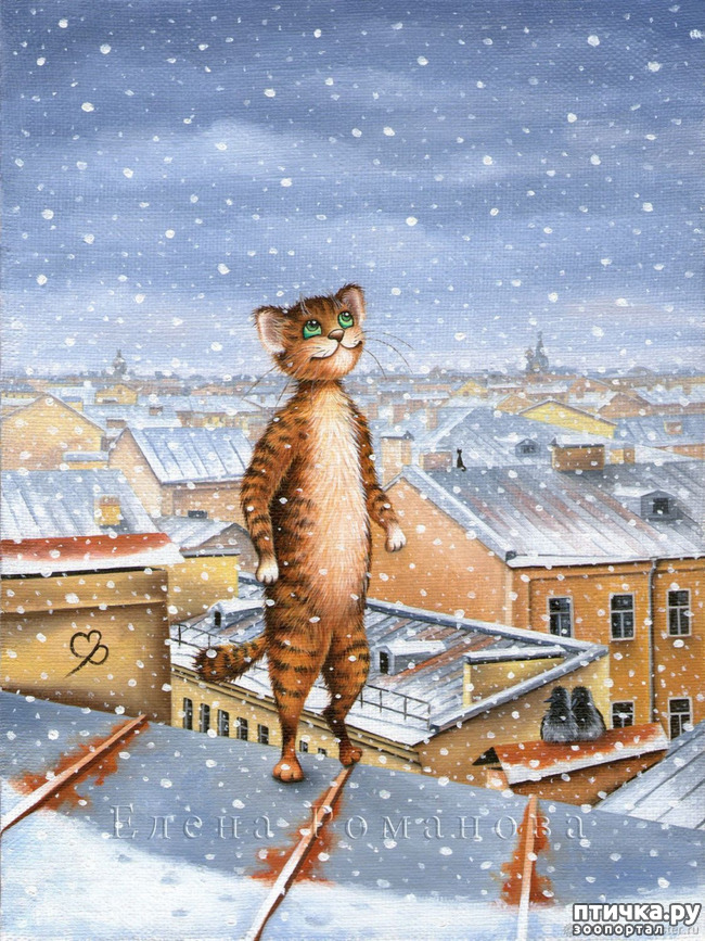 ���� 13: ������������