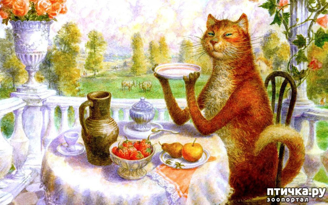 ���� 18: ������������