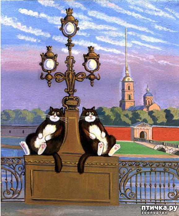 ���� 21: ������������