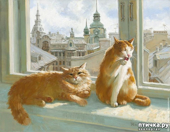 ���� 24: ������������