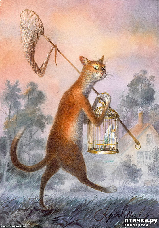 ���� 22: ������������