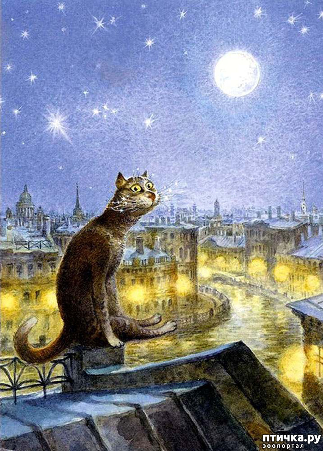 ���� 27: ������������