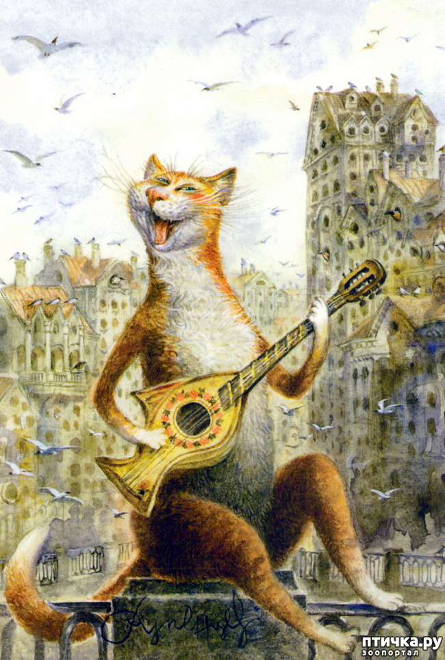 ���� 26: ������������