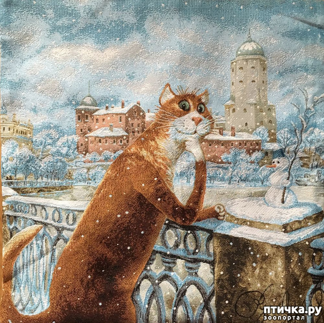 ���� 28: ������������