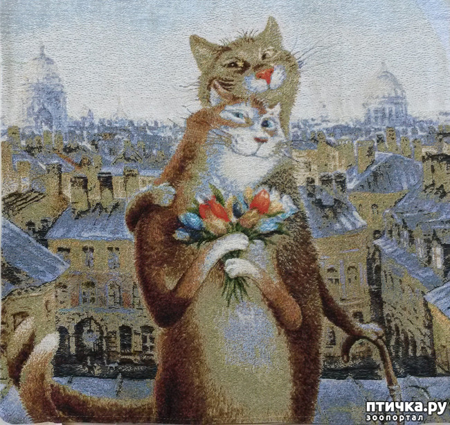 ���� 20: ������������