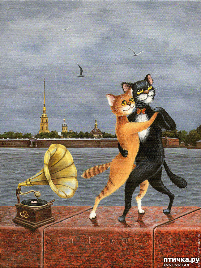 ���� 29: ������������